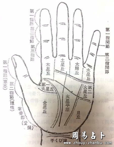 手掌纹路图解男性左手图片